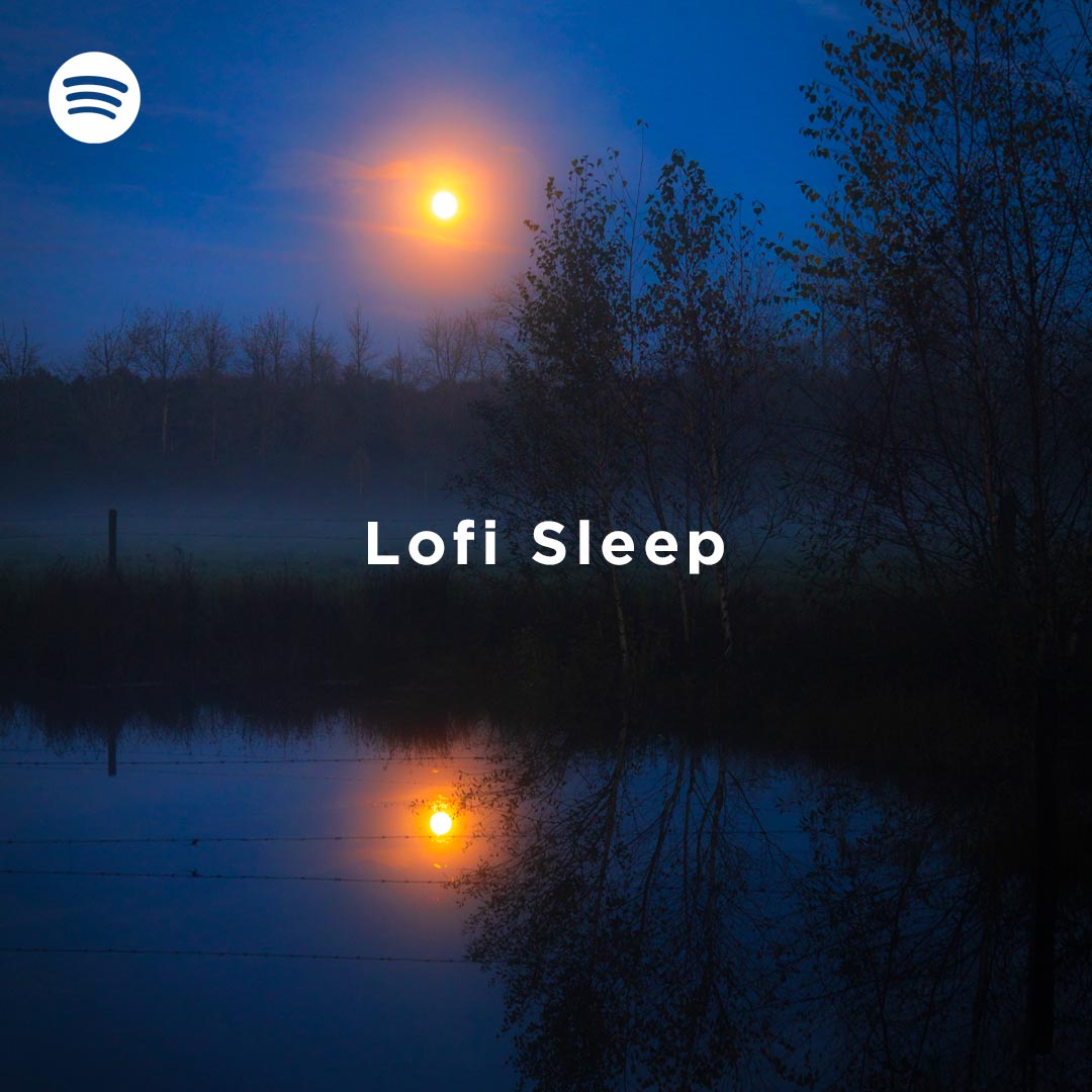 Lofi Sleep Spotify Playlist