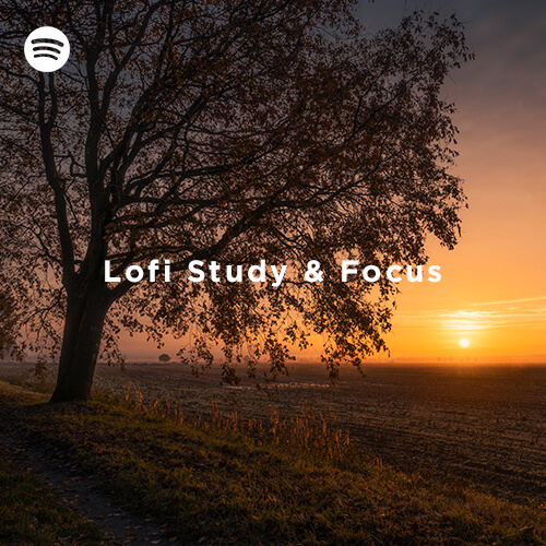 Lofi Study & Focus